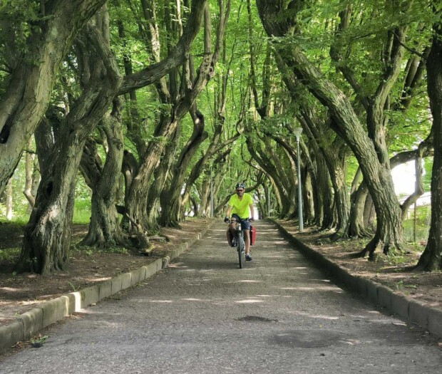 Stary Kolejowy Szlak - Aleja Grabowa Złocieniec