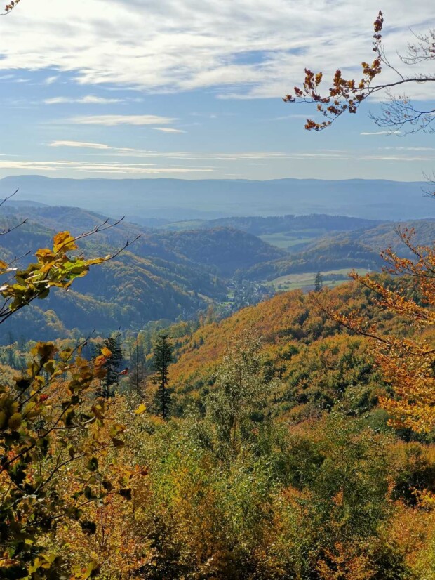 Panorama Gór Sowich