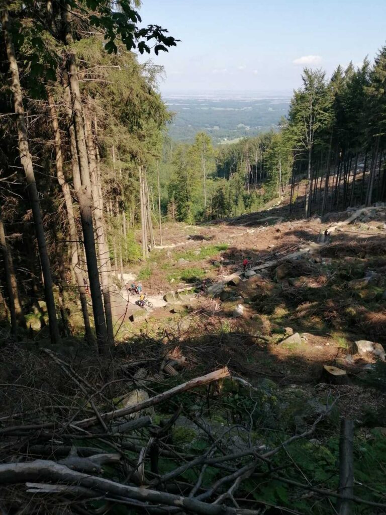Podjazd Dr. Wiessner - Rychlebskie Ścieżki