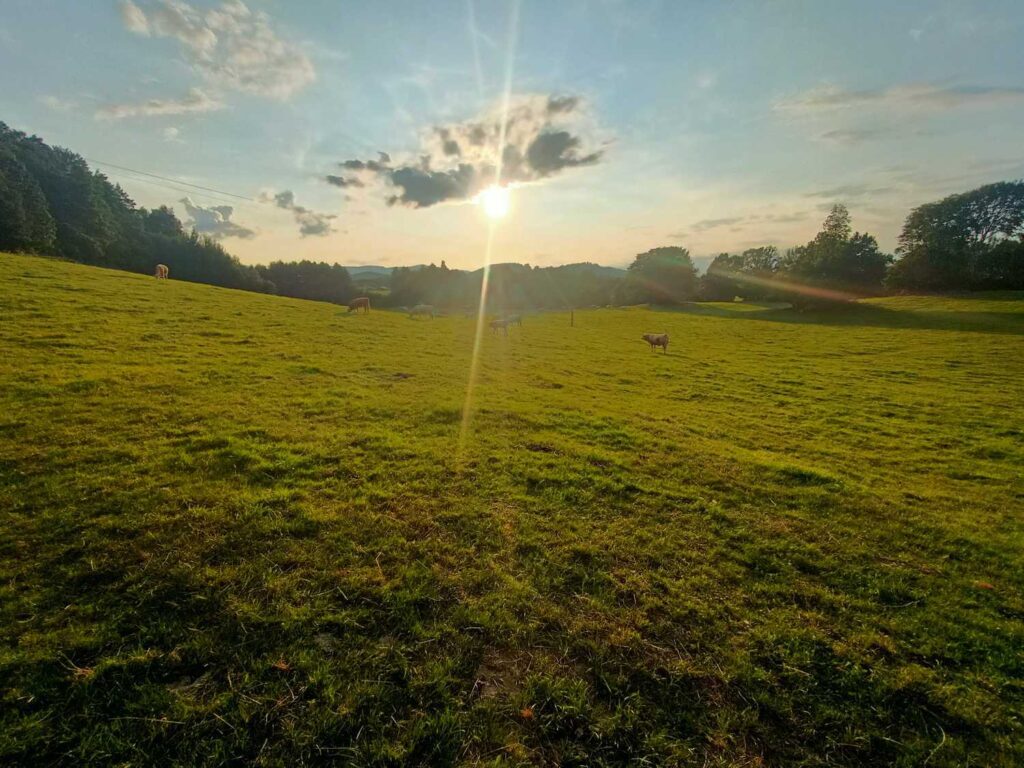 Panorama - Rychlebskie Ścieżki