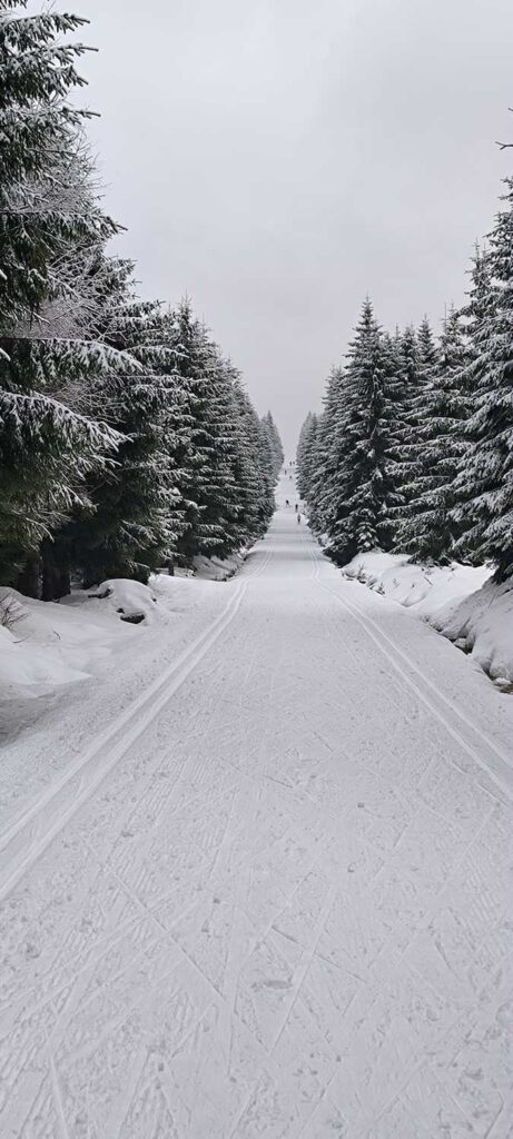 "Samolot" Jakuszyce grudzień 2023