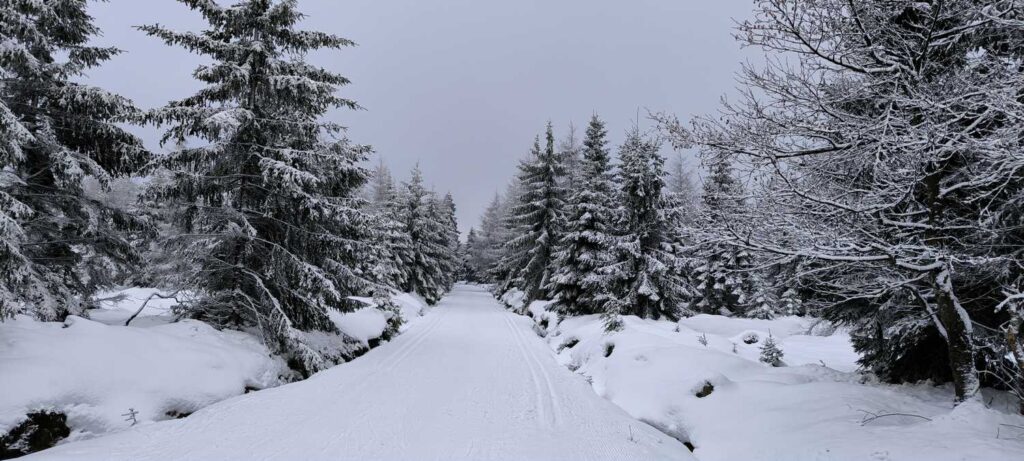 dukt przy "Jeleniej Łące" Jakuszyce