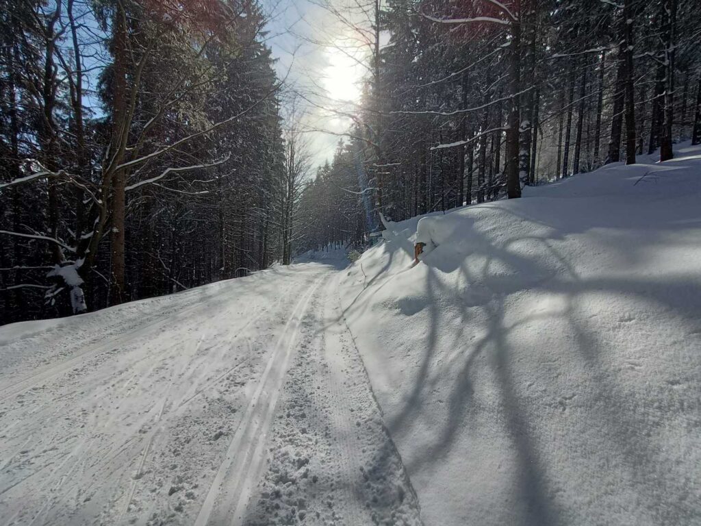 Jakuszyce grudzień 2023