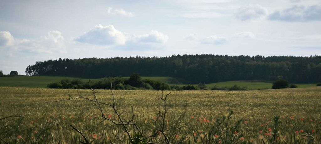 Stary Kolejowy Szlak