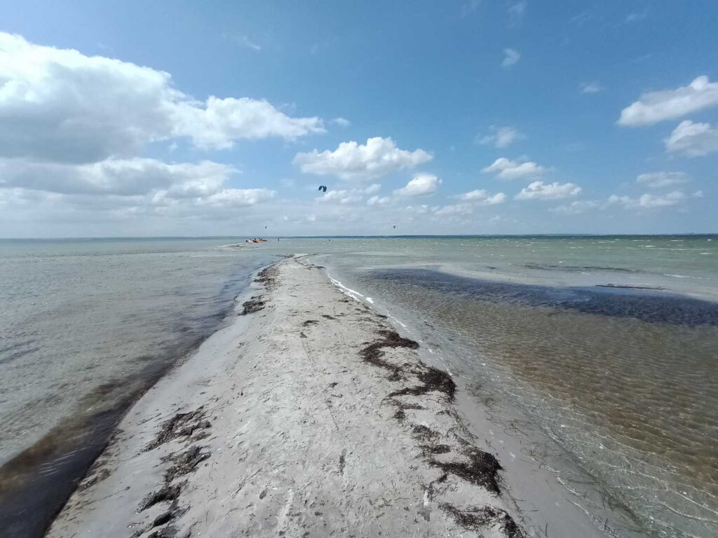 Rybitwia Mielizna - Zatoka Pucka