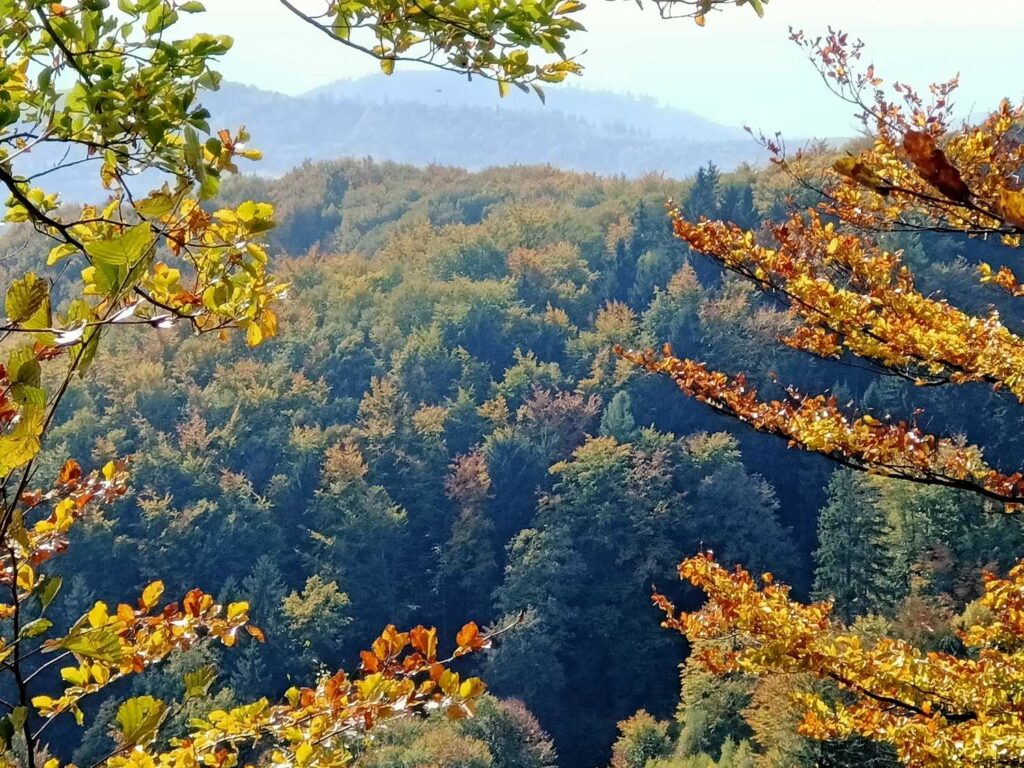 Panorama Gór Sowich