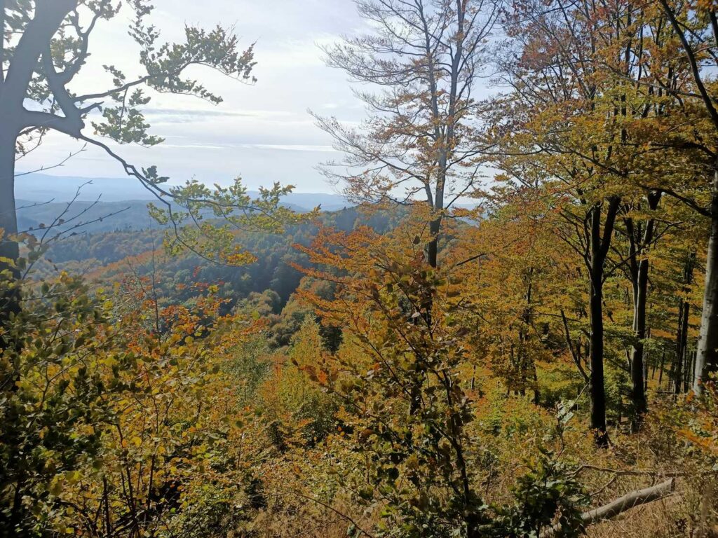 Panorama Gór Sowich