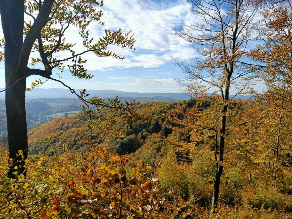 Panorama Gór Sowich