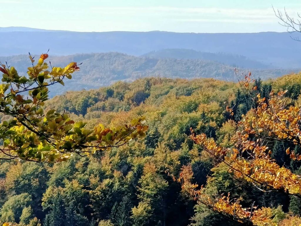 Panorama Gór Sowich