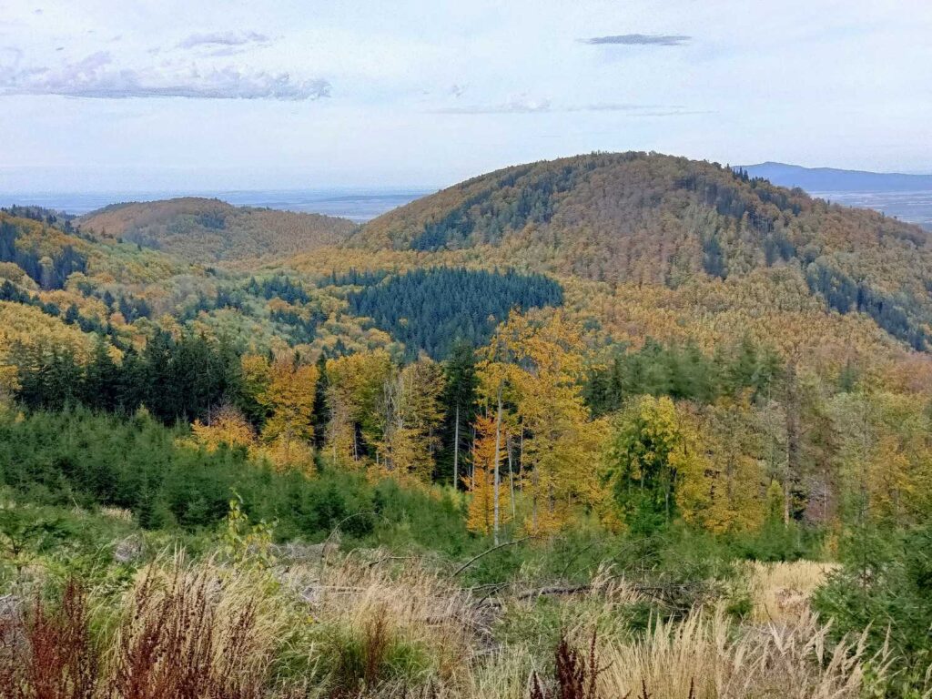 Panorama Gór Sowich