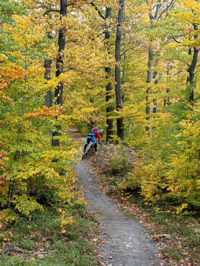 Jesień na Pętli Łaszczowa - Singletrack Glacensis