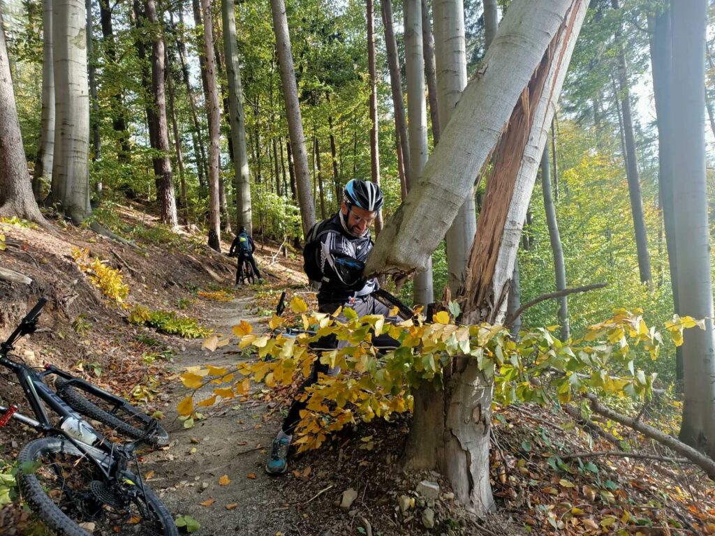 efekt wiatru - Singletrack Glacensis