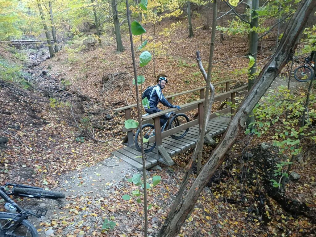 Singletrack Glacensis