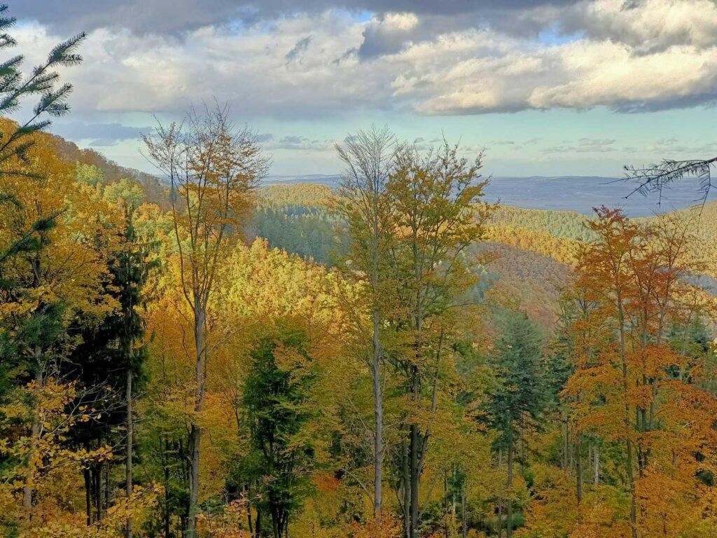Panorama Gór Bardzkich