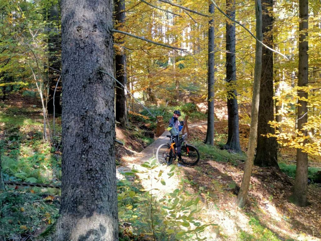 Singletrack Glacensis