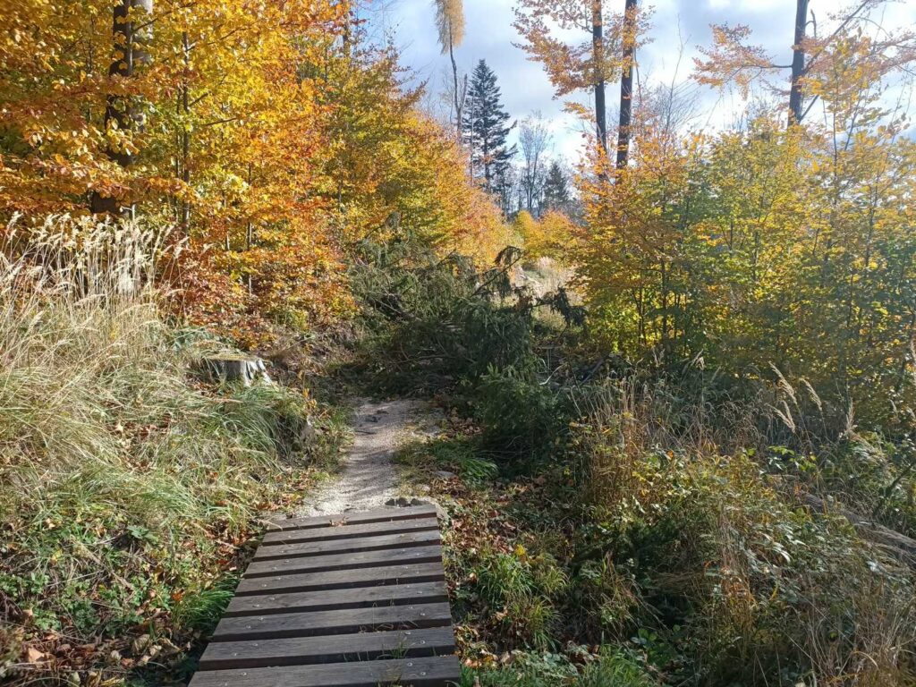 Singletrack Glacensis