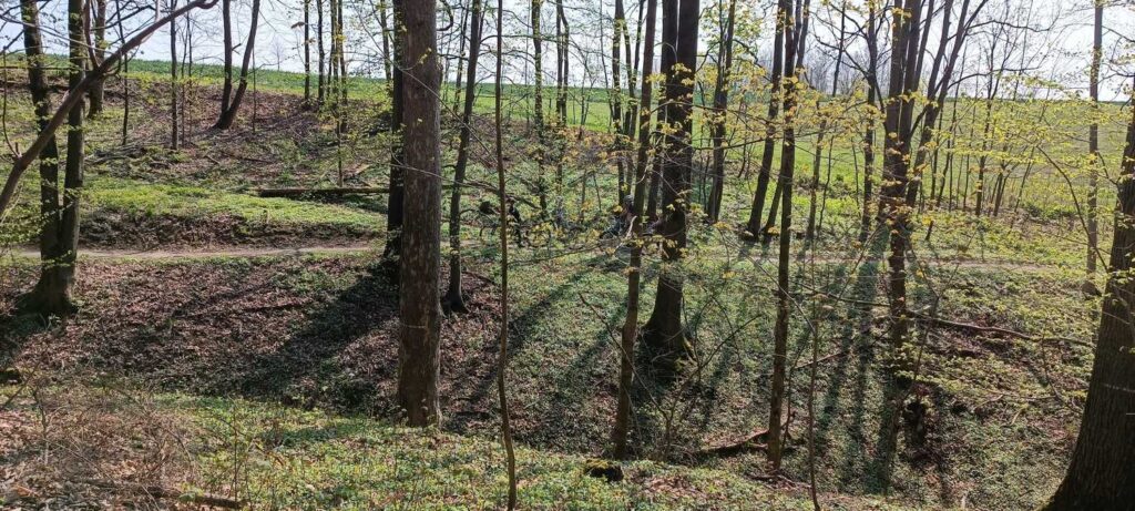 Trasa Gozdno 1 - Góry Kaczawskie