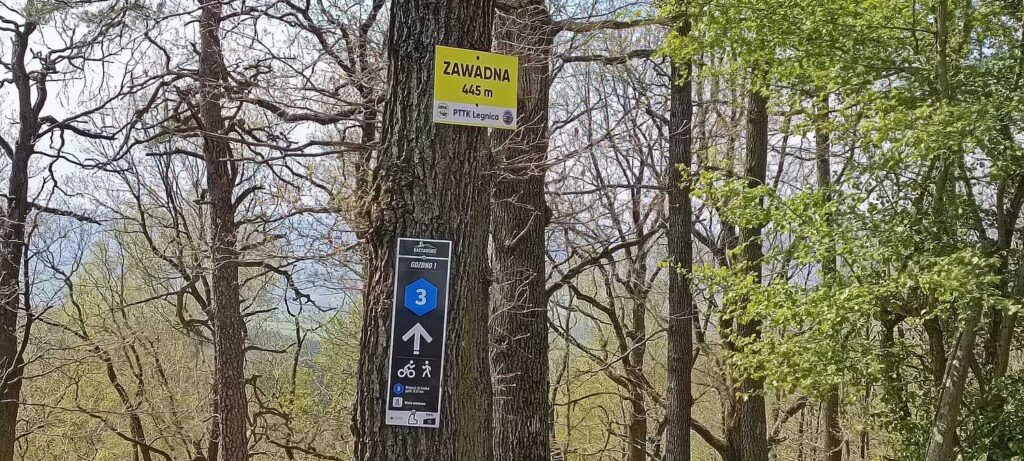 Trasa Gozdno 1 - Góry Kaczawskie