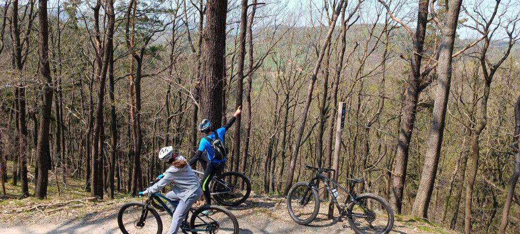 Trasa Gozdno 1 - Góry Kaczawskie