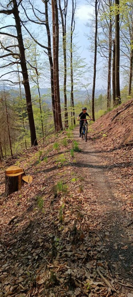 Trasa Gozdno 1 - Góry Kaczawskie