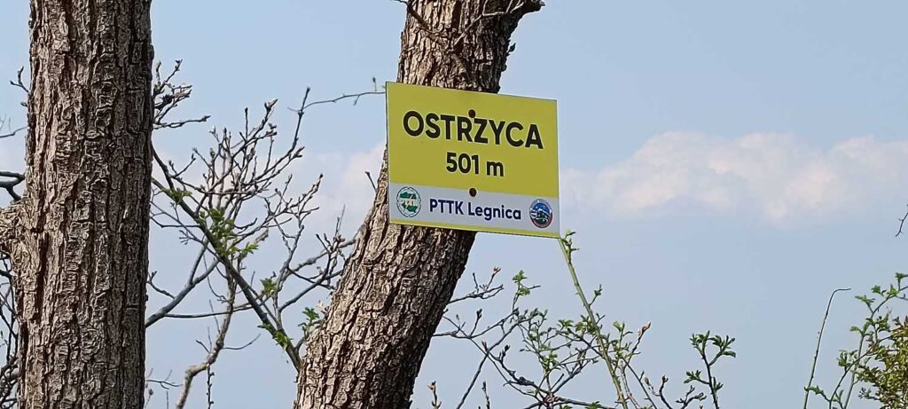 Ostrzyca