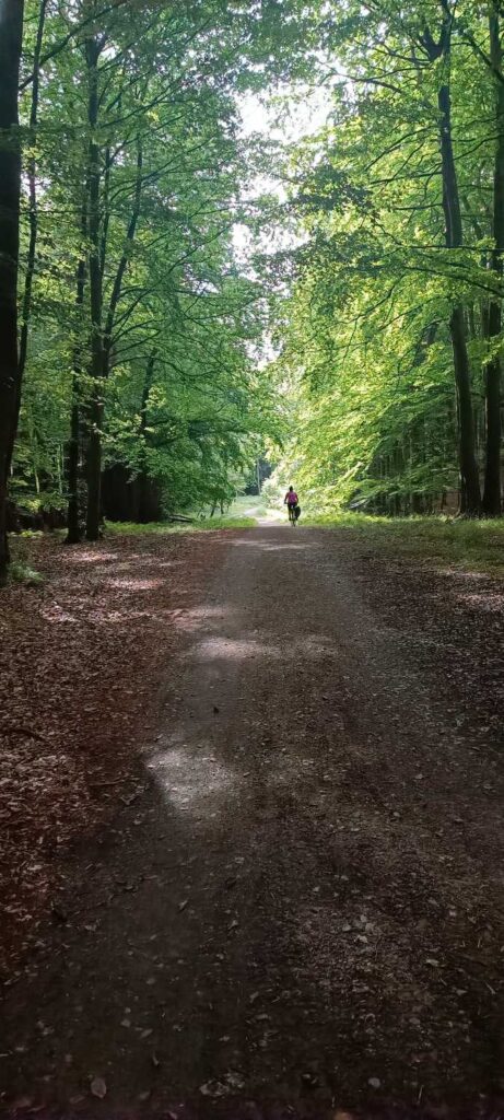 Szlak rowerowy z Parku Narowego Jasmund do Sassnitz - Rugia