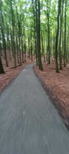 Szlak rowerowy z Parku Narowego Jasmund do Sassnitz - Rugia