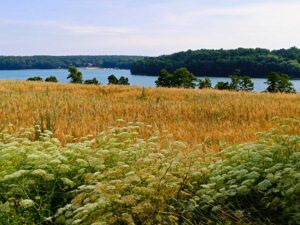 Panorama na jezioro Jaroszewskie - Szlak 100 Jezior