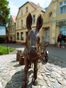 Międzychód Rynek - Szlak 100 Jezior