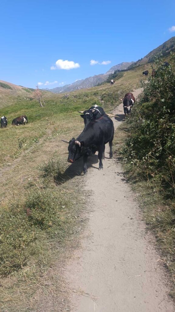 Atrakcje na szlaku TMB - dzień 4 (Italia)