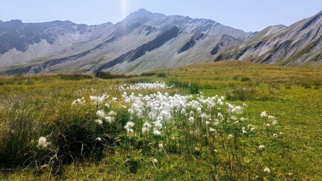 TMB - dzień 5 Szwajcarskie Anioły