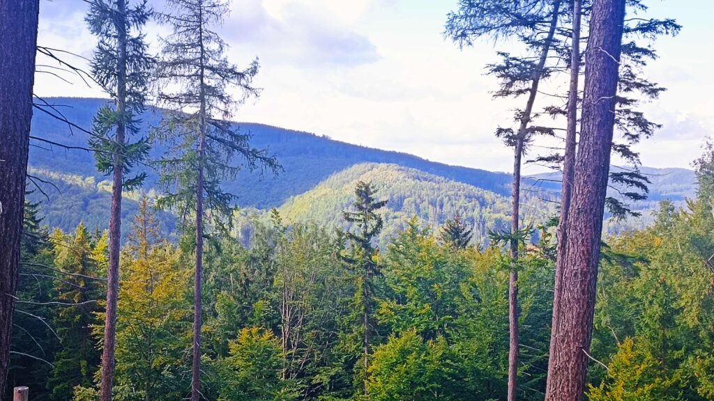 Panorama Gór Sowich