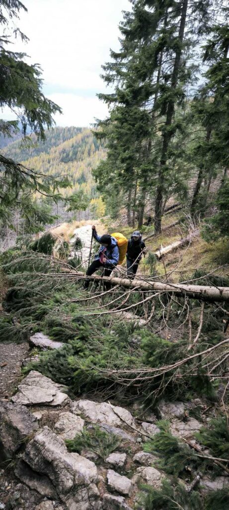 Szlak przez Jaworzynkę - efekt halnego